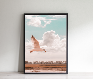 Flying bird wall Print, Printable Wall Art, white seagull, nature Photography, Neutral peach Decor, Landscape Poster, Gallery Wall, freedom