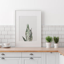 Load image into Gallery viewer, Snake Plant Print, Sansevieria Print, Minimalist Neutral Printable Wall Art - prints-actually