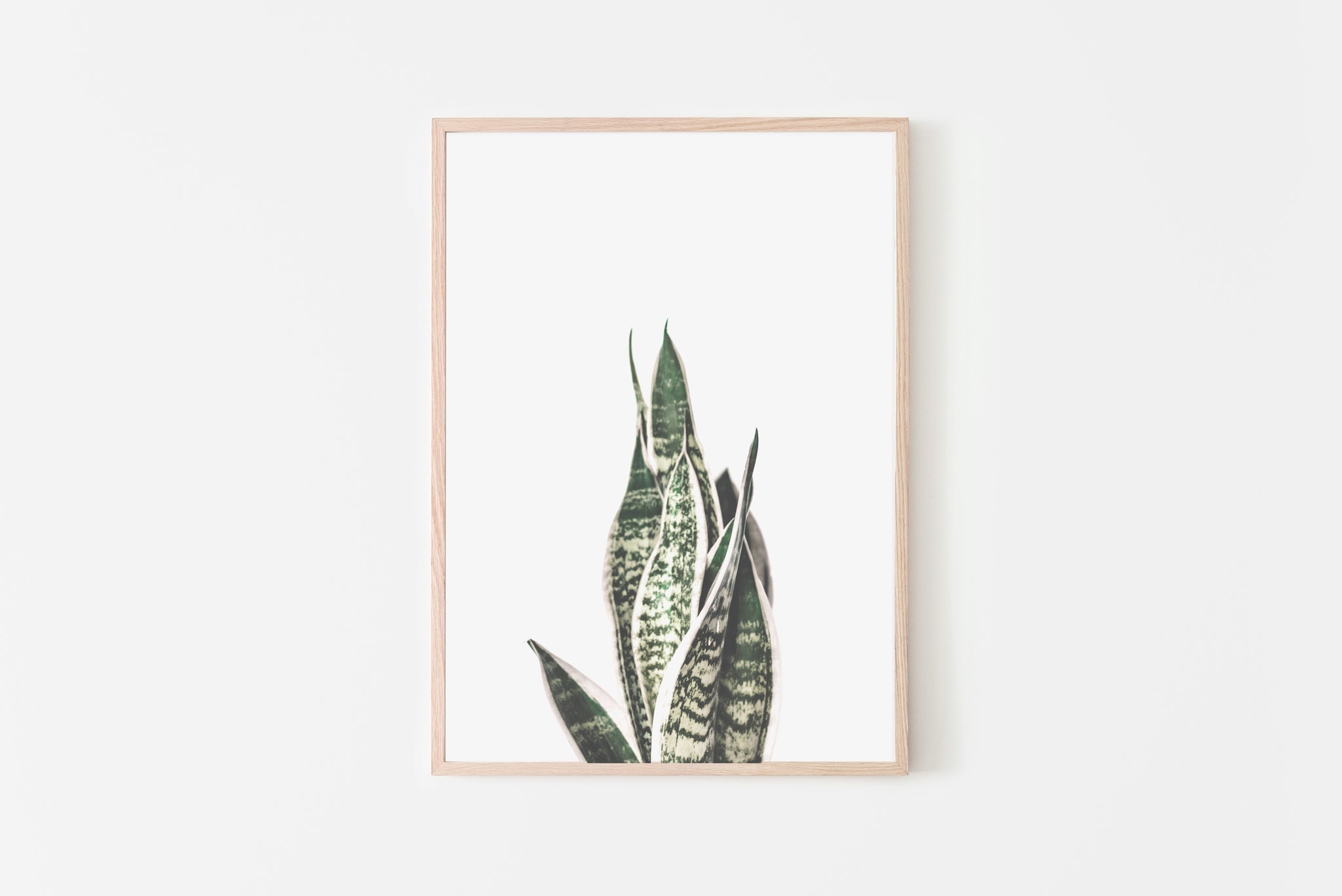 snake plant print Snake Plant Print, Sansevieria Print, Minimalist Neutral Printable Wal – Prints Actually