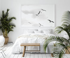 Flying Birds Print, Black and White Photography, Birds in the Sky wall prints - prints-actually