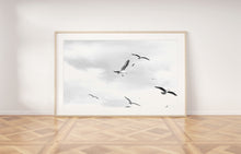 Load image into Gallery viewer, Flying Birds Print, Black and White Photography, Birds in the Sky wall prints - prints-actually
