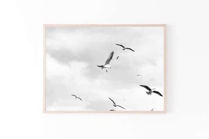 Flying Birds Print, Black and White Photography, Birds in the Sky wall prints - prints-actually