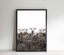 Load image into Gallery viewer, Black and White Cow in the Meadow Print, Printable Wall Art, Animal Photography - prints-actually