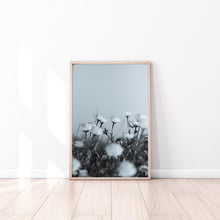 Load image into Gallery viewer, Black and white daisies print, botanical print, printable wall art