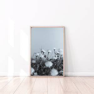 Black and white daisies print, botanical print, printable wall art