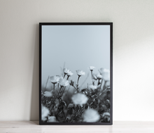 Load image into Gallery viewer, Black and white daisies print, botanical print, printable wall art
