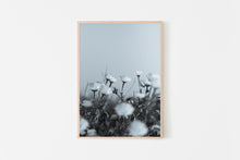 Load image into Gallery viewer, תמונה לקיר של פרחים בשחור לבן, פרינט להדפסה