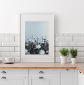 Black and white daisies print, botanical print, printable wall art