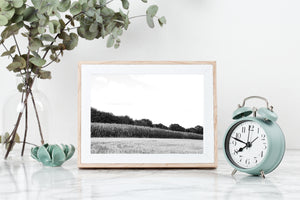 France Landscape Print, Printable Wall Art, Fields, Digital Prints, Nature photography, Neutral Decor, black and white poster, Gallery Wall