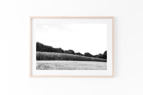 France Landscape Print, Printable Wall Art, Fields, Digital Prints, Nature photography, Neutral Decor, black and white poster, Gallery Wall