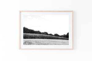 תמונת קיר עם נופי צרפת בשחור לבן, פרינט להדפסה