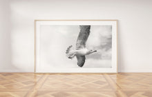 Load image into Gallery viewer, תמונה לסלון עם צילום של ציפור בשמיים בשחור לבן, פרינט להדפסה