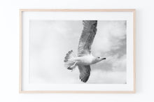 Load image into Gallery viewer, Flying Bird Print, Black and White Photography, Printable Wall Art, Bird in the Sky, animal, Digital Wall Prints poster, living room art