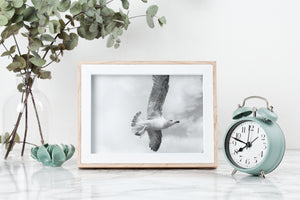 Flying Bird Print, Black and White Photography, Printable Wall Art, Bird in the Sky, animal, Digital Wall Prints poster, living room art
