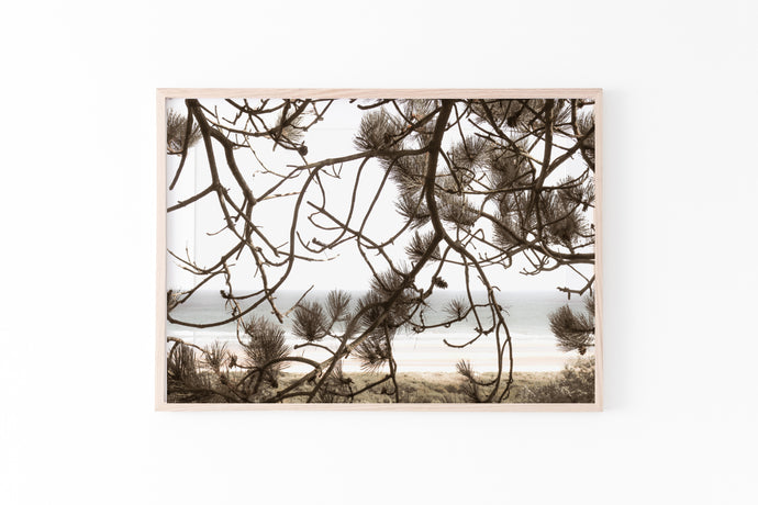 Tree by the beach print, printable wall art - prints-actually