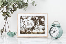 Load image into Gallery viewer, Tree by the beach print, printable wall art - prints-actually