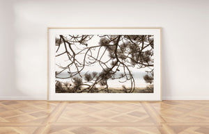 Tree by the beach print, printable wall art - prints-actually