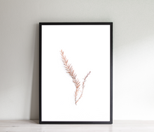 Load image into Gallery viewer, Brown branch print, plants wall art, minimalist decor - prints-actually