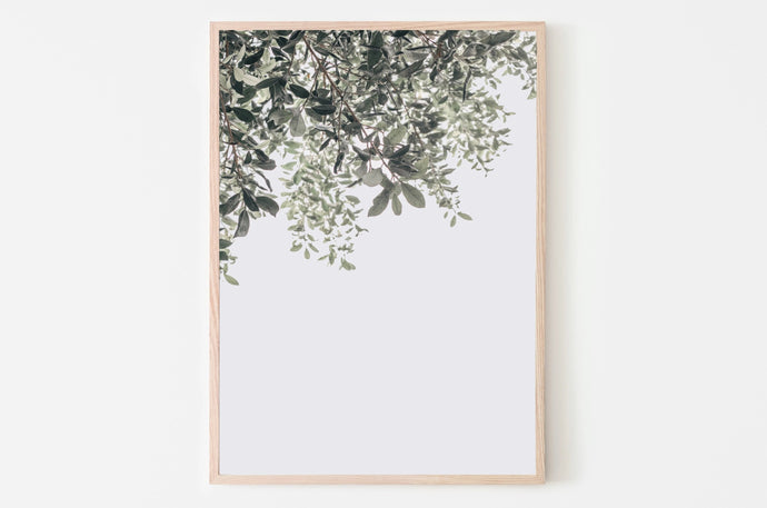 Botanical Print, Printable Wall Art, Green Leaves Poster, Digital Prints, Corner Tree Wall Decor, Gift, Minimalist Wall Print, Gallery Wall - prints-actually