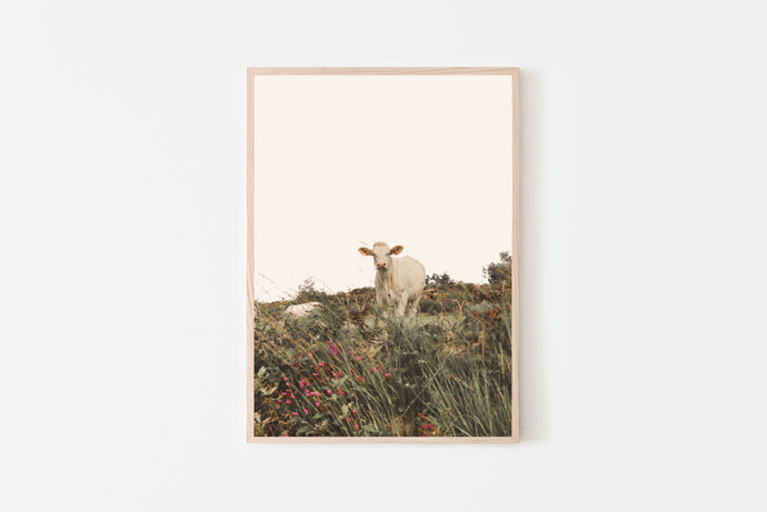 Cow in the Meadow Print, Printable Wall Art, Animal Photography - prints-actually