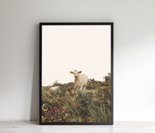 Load image into Gallery viewer, Cow in the Meadow Print, Printable Wall Art, Animal Photography - prints-actually