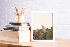 Cow in the Meadow Print, Printable Wall Art, Animal Photography - prints-actually