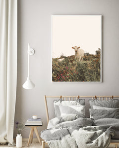 Cow in the Meadow Print, Printable Wall Art, Animal Photography - prints-actually