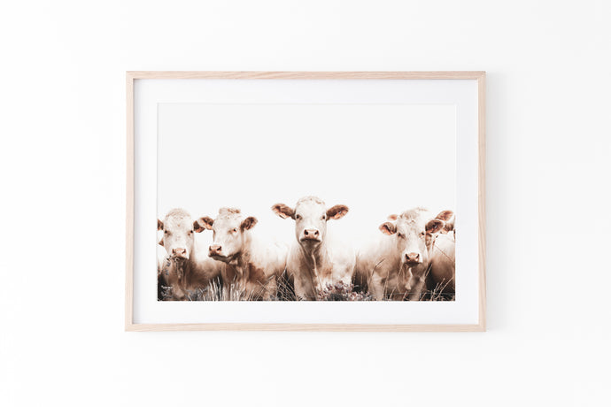 Cows Wall Art, Printable, cattle herd in the meadow, horizontal - prints-actually