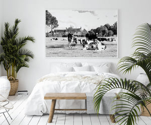 Cows print, printable wall art, black white farmhouse decor, cows meadow, digital prints, boho poster, farm animals photography, horizontal