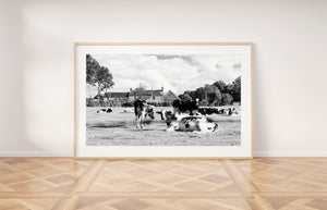 תמונה לקיר של פרות באחו בצרפת, פרינט להדפסה