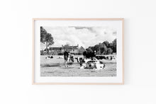 Load image into Gallery viewer, תמונה לקיר של פרות באחו בצרפת, פרינט להדפסה