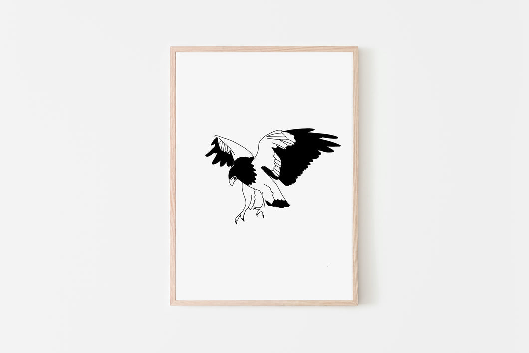 Eagle Print, Drawing Eagle Art, Printable Wall Art,Animal Art, Black White, Line Drawing