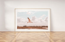 Load image into Gallery viewer, Flying bird Print, Printable Wall Art, white seagull wings, twilight sunset nature photography, neutral peach Decor, above bed Poster, peace