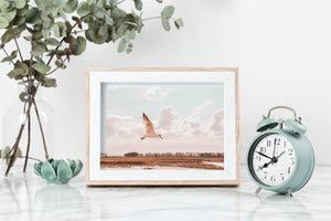 Flying bird Print, Printable Wall Art, white seagull wings, twilight sunset nature photography, neutral peach Decor, above bed Poster, peace