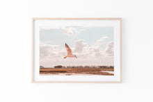 Load image into Gallery viewer, Flying bird Print, Printable Wall Art, white seagull wings, twilight sunset nature photography, neutral peach Decor, above bed Poster, peace
