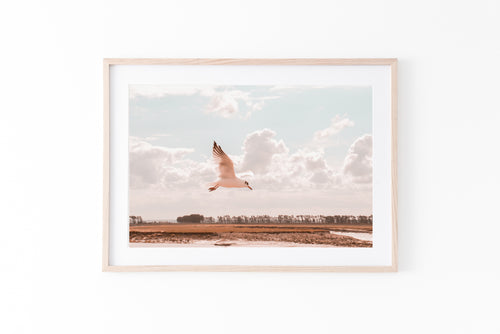 Flying bird Print, Printable Wall Art, white seagull wings, twilight sunset nature photography, neutral peach Decor, above bed Poster, peace