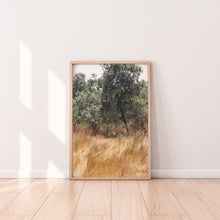 Load image into Gallery viewer, תמונה לקיר של שדות ירוקים בישראל, פרינט להורדה