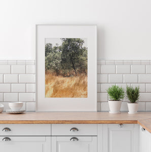 Israel Landscape Print, Printable Wall Art, Green Fields, Digital Prints