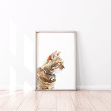Load image into Gallery viewer, Ginger Cat portrait Print, Printable Wall Art, Animal Photography - prints-actually