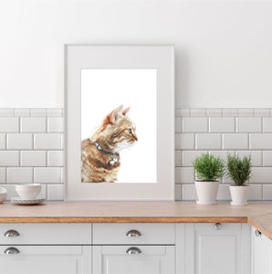 Ginger Cat portrait Print, Printable Wall Art, Animal Photography - prints-actually