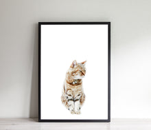 Load image into Gallery viewer, Cat Print, Printable Wall Art, Animal Photography - prints-actually