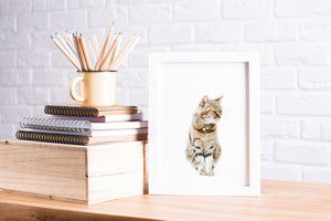 Cat Print, Printable Wall Art, Animal Photography - prints-actually