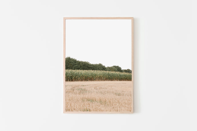 France Cottage Decor France Landscape Print, Printable Wall Art, Housewarming Gift, Gallery Wall - prints-actually