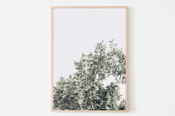 Botanical Print, Minimalist Wall Print, Printable Wall Art, Green Leaves Poster, Digital Prints, Nature Photography Wall Decor, Gallery Wall - prints-actually