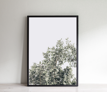 Load image into Gallery viewer, Botanical Print, Minimalist Wall Print, Printable Wall Art, Green Leaves Poster, Digital Prints, Nature Photography Wall Decor, Gallery Wall - prints-actually