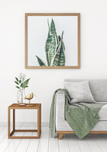 Load image into Gallery viewer, Snake Plant Square Print, botanical Printable Wall Art, green decor