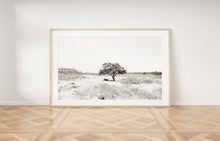 Load image into Gallery viewer, תמונת קיר אופקית של עץ בשדה בשחור לבן, פרינט להדפסה