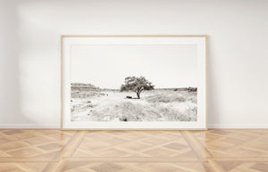 Tree print, black white sepia, horizontal printable wall art, Israel landscape, nature prints, wall prints