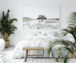 תמונת קיר אופקית של עץ בשדה בשחור לבן, פרינט להדפסה