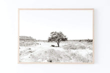 Load image into Gallery viewer, Tree print, black white sepia, horizontal printable wall art, Israel landscape, nature prints, wall prints